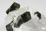 Green Elbaite Tourmaline Crystals in Quartz - Pakistan #175536-1